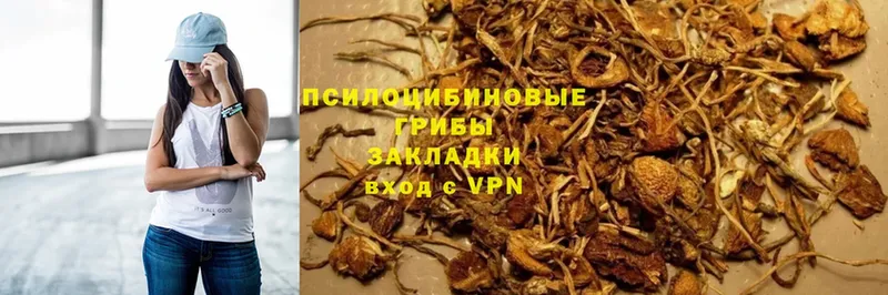 Галлюциногенные грибы MAGIC MUSHROOMS Орехово-Зуево