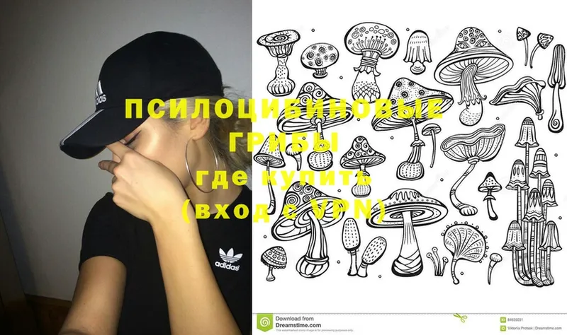 Псилоцибиновые грибы MAGIC MUSHROOMS  дарнет шоп  нарко площадка официальный сайт  Орехово-Зуево 