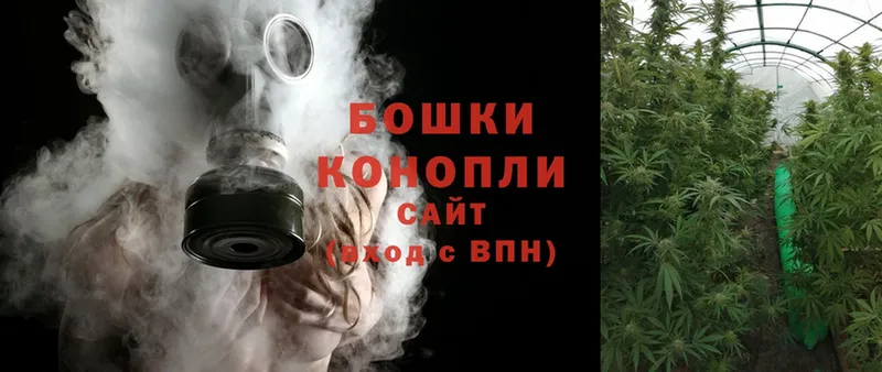 Каннабис White Widow  купить закладку  Орехово-Зуево 